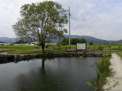 f0106664_7131945.jpg