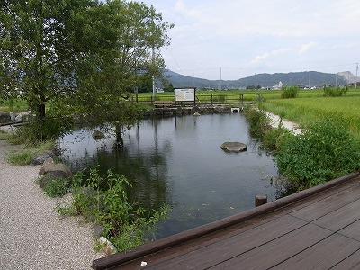 f0106664_7133949.jpg