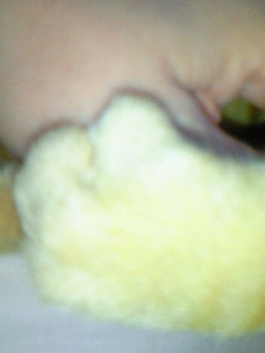 a0267766_7562265.jpg