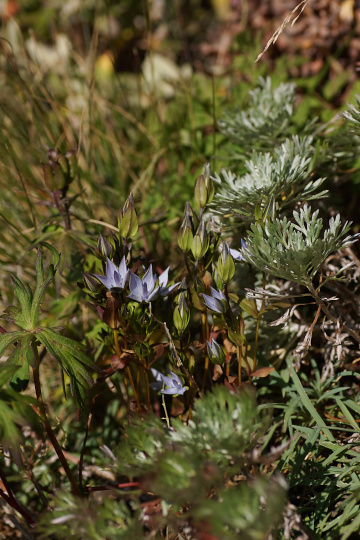 e0054067_2333398.jpg
