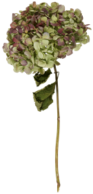 e0272870_2244357.png