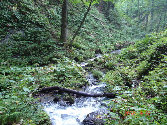 a0188775_1014873.jpg