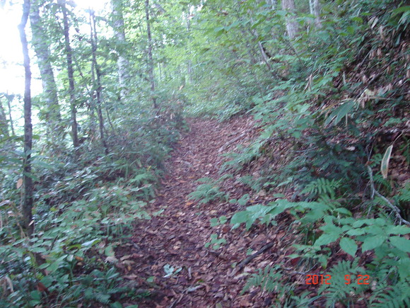a0188775_9451611.jpg