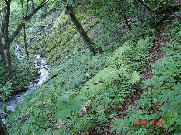 a0188775_9523159.jpg