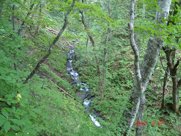 a0188775_9545221.jpg