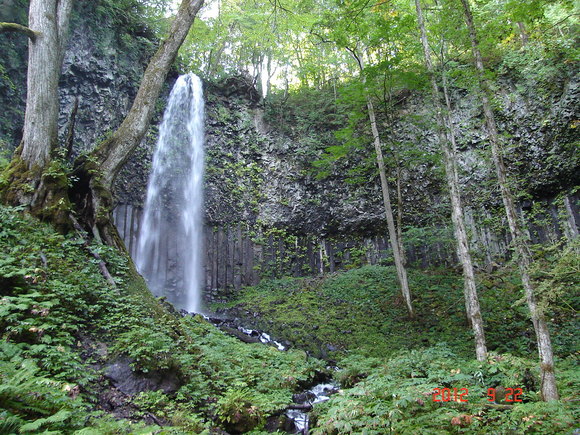 a0188775_9553447.jpg