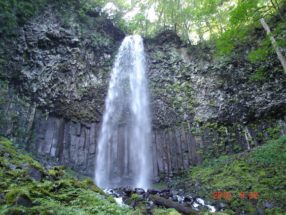 a0188775_957769.jpg
