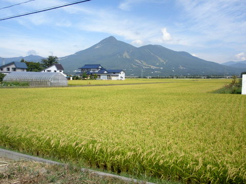 a0160279_8532282.jpg