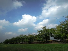 d0217979_1813496.jpg