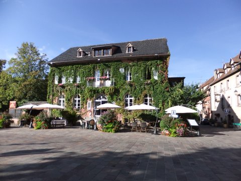 c0024980_6171755.jpg