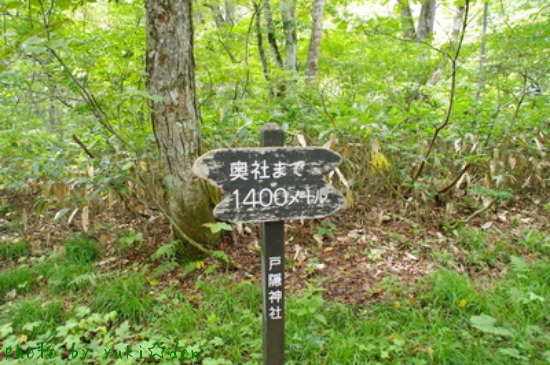 a0252287_10355271.jpg