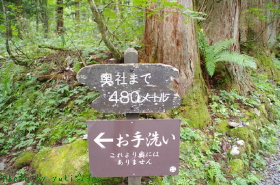 a0252287_10454219.jpg
