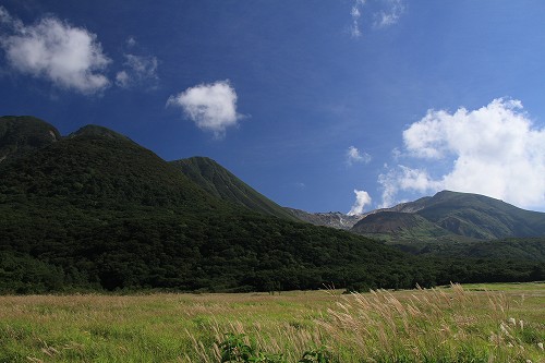 a0222494_21543663.jpg