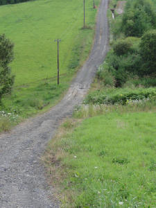 e0180796_9524420.jpg