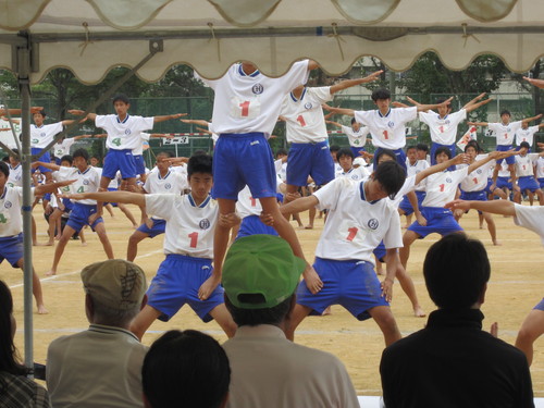 f0013998_2045483.jpg