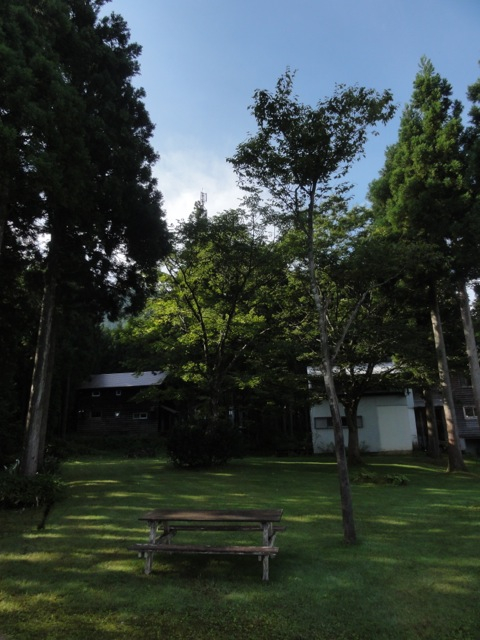 a0061599_8184493.jpg