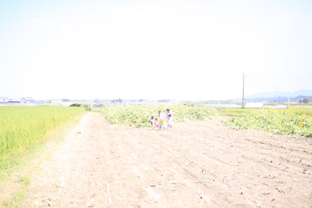 c0236300_1847177.jpg