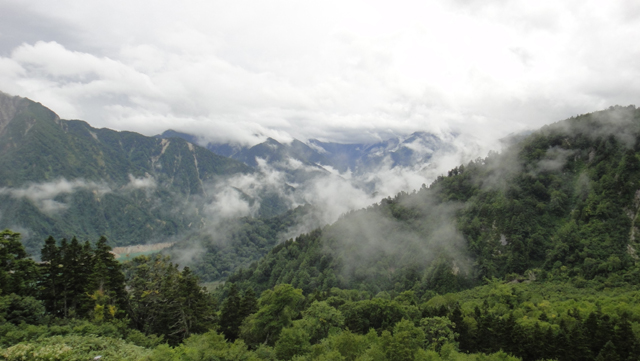 d0004301_11443167.jpg