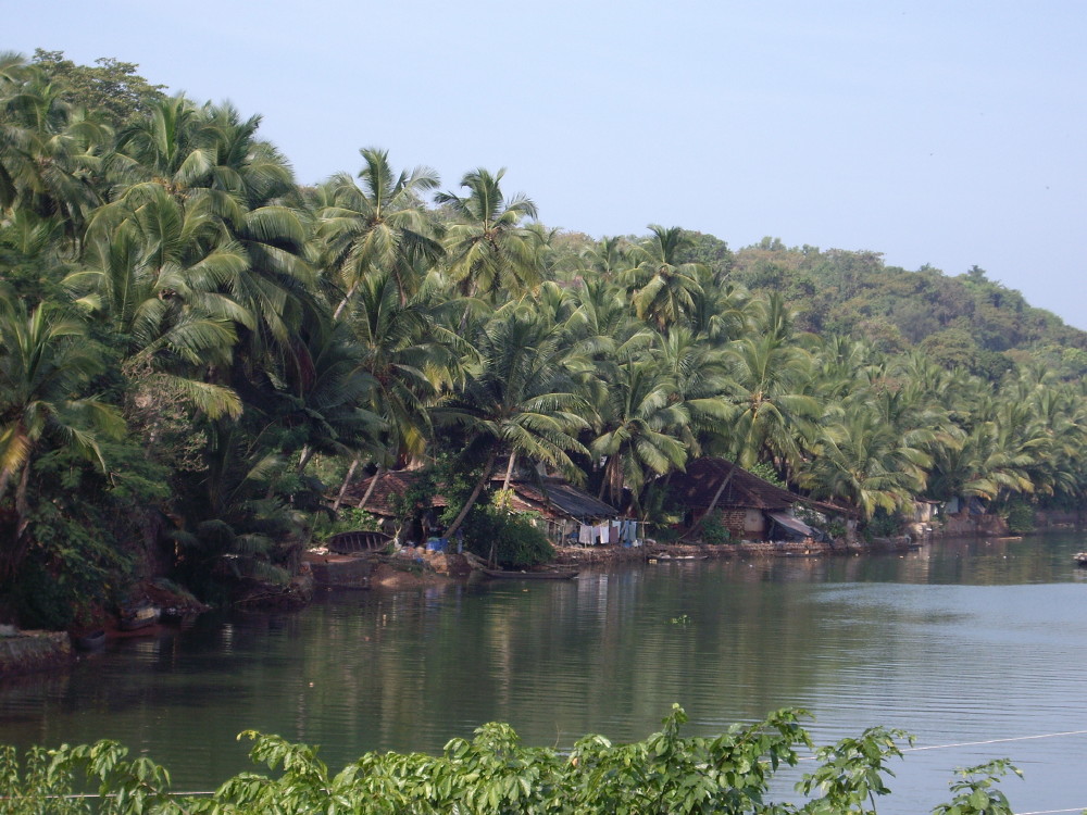 e0296801_11524822.jpg