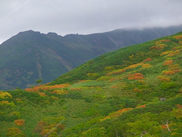 f0157901_17391990.jpg