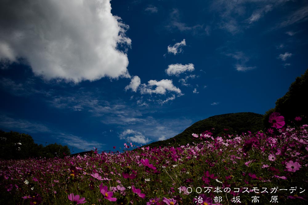 f0220502_16253764.jpg