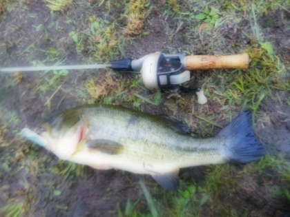c0023804_10543662.jpg