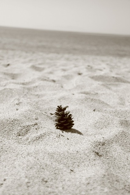 f0231904_1820096.jpg