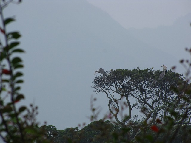 d0037110_22363771.jpg