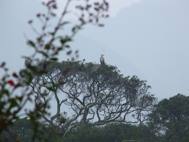 d0037110_2237988.jpg