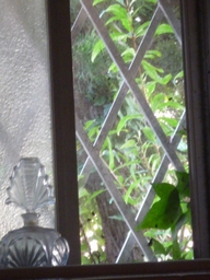 d0147611_1173917.jpg