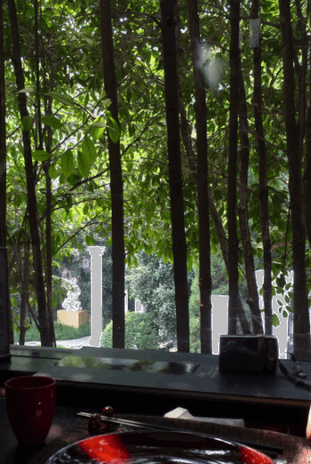 e0157816_189622.gif