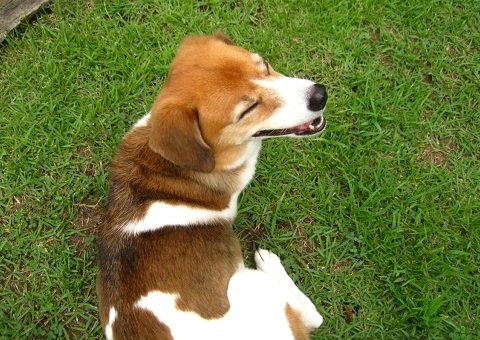 c0084117_143484.jpg