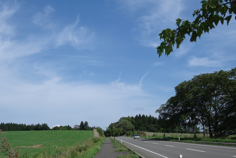 d0250123_0202164.jpg