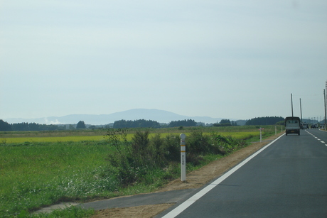 d0250123_083723.jpg