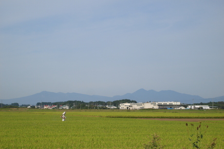 d0250123_094646.jpg
