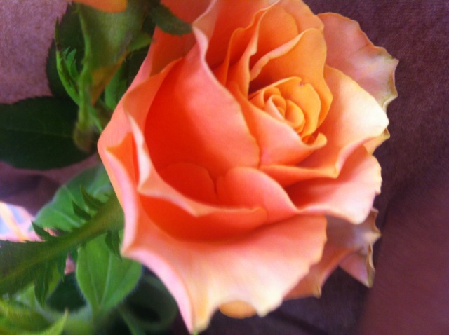 c0188525_0133671.jpg
