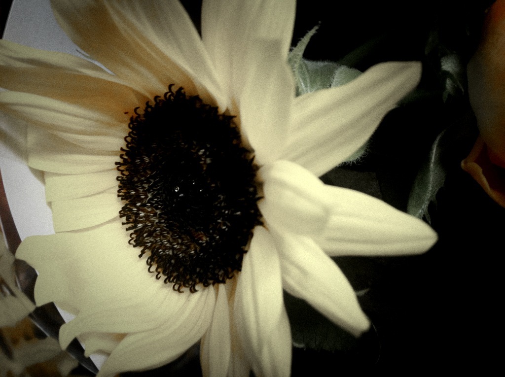 c0188525_035476.jpg