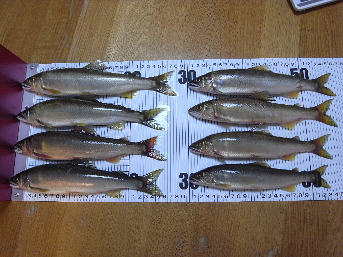 f0103126_2012459.jpg
