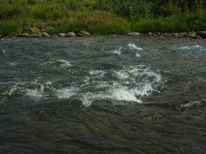 f0103126_208670.jpg