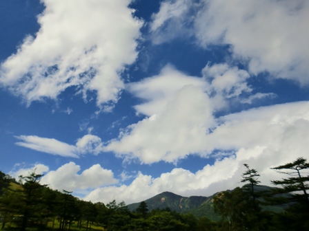 d0130927_1154278.jpg