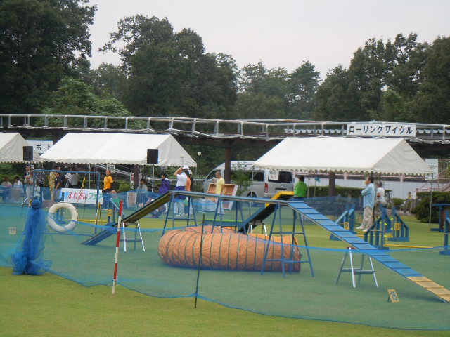 f0114128_1732940.jpg