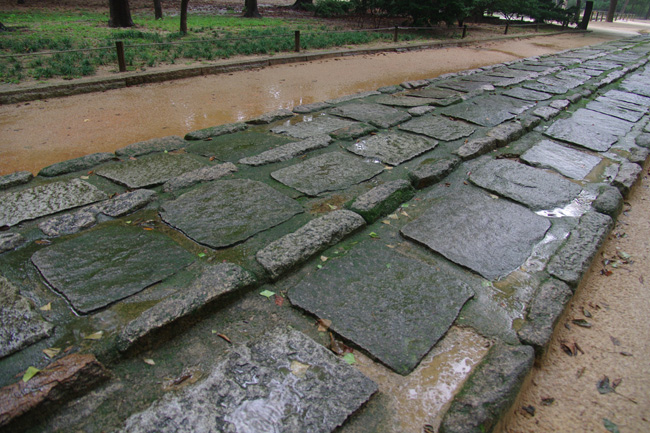 c0077129_072740.jpg