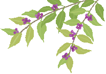 c0123031_711251.gif