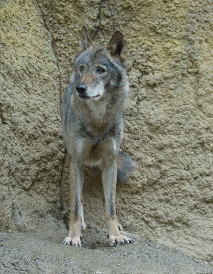 b0245634_12354076.jpg