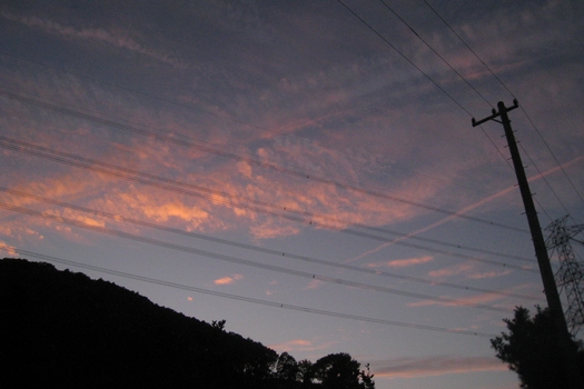 c0134734_2383556.jpg