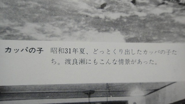 f0208737_8141667.jpg
