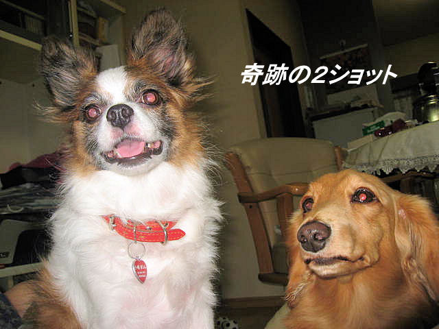 a0149240_7373632.jpg