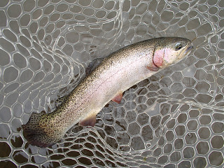 f0065341_9474731.jpg