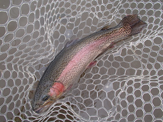 f0065341_9484046.jpg