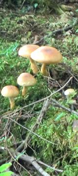 c0225143_20445379.jpg